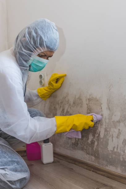 Best Residential Mold Inspection & Testing  in Alpine, NJ