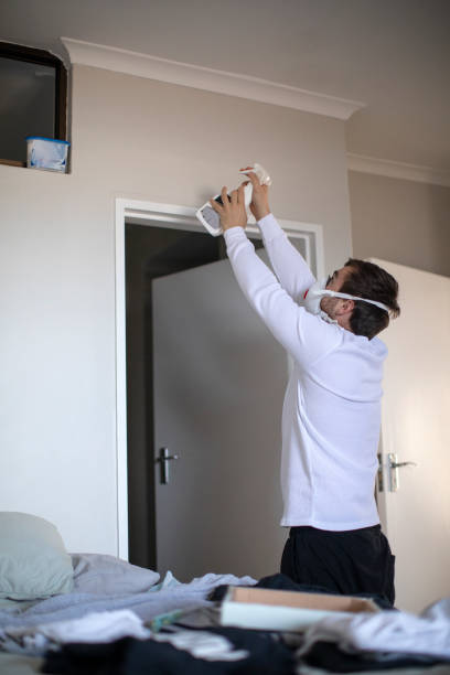 Best Water Damage & Mold Remediation  in Alpine, NJ