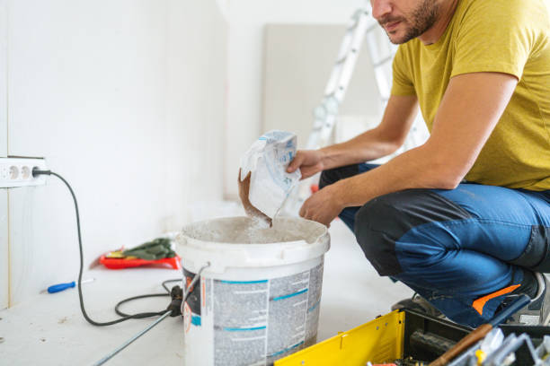 Best Black Mold Removal  in Alpine, NJ