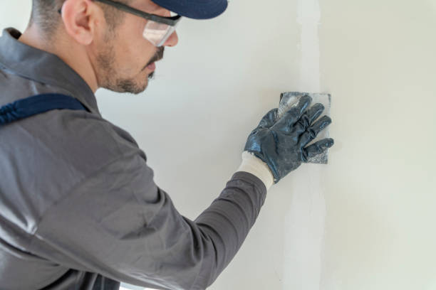 Best Emergency Mold Remediation  in Alpine, NJ