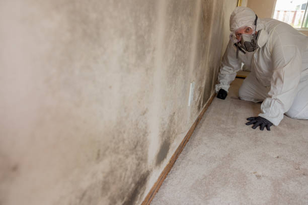 Best Asbestos and Lead Testing During Mold Inspection  in Alpine, NJ