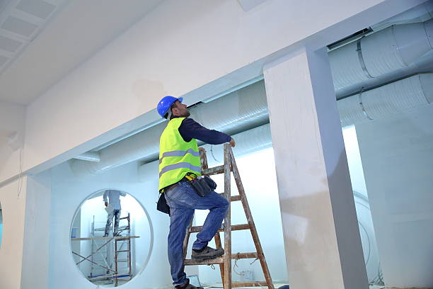 Best Mold Odor Removal Services  in Alpine, NJ